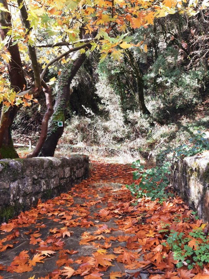 Готель Agropoli Nimfasia Екстер'єр фото
