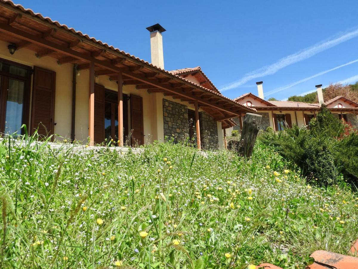 Готель Agropoli Nimfasia Екстер'єр фото