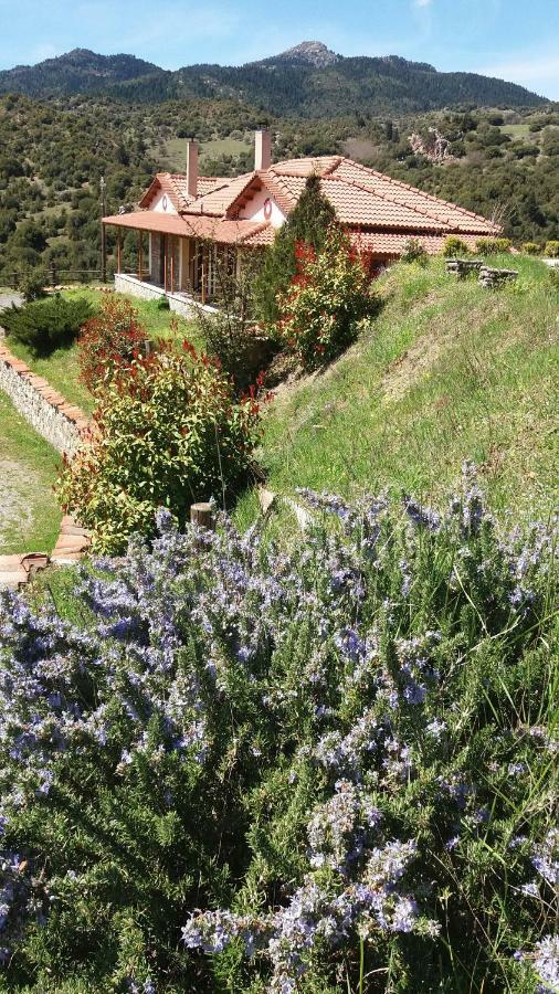 Готель Agropoli Nimfasia Екстер'єр фото